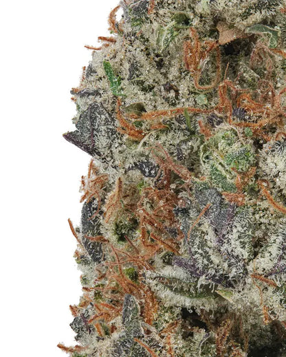 Premium Flower Mauie Wowie Sativa Flow State Siesta G Dispensary