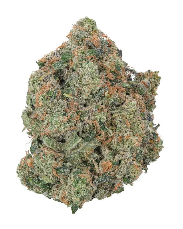 Premium Flower Mimosa Siesta G  Siesta G Dispensary