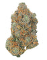 Premium Flower Motor Breath Indica Hybrid Siesta G  Siesta G Dispensary