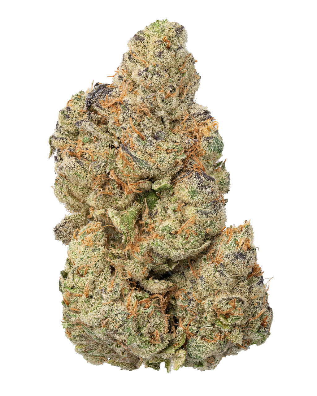 Premium Flower Mule Fuel Indica Siesta G Dispensary Siesta G