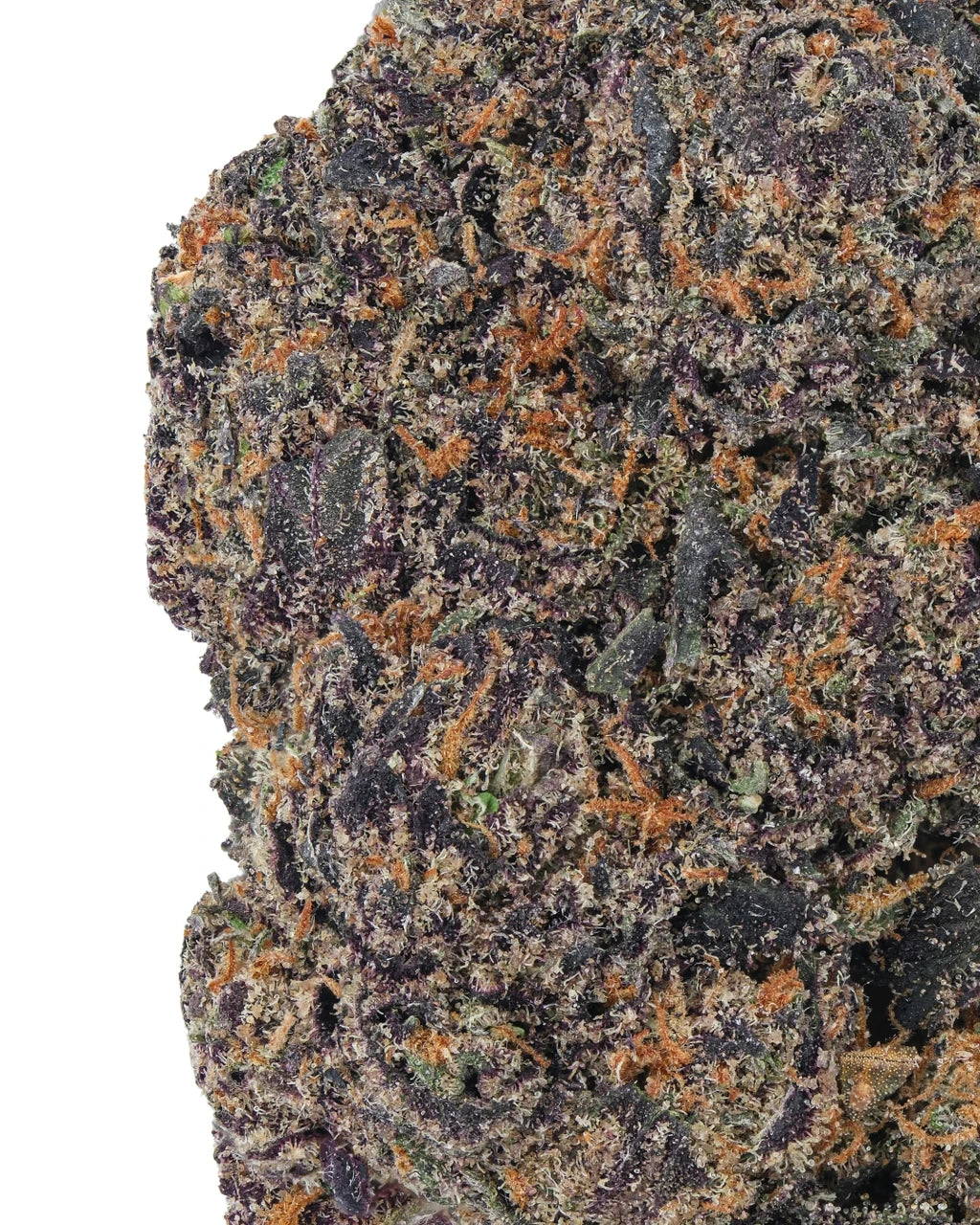 Night Walker Indica