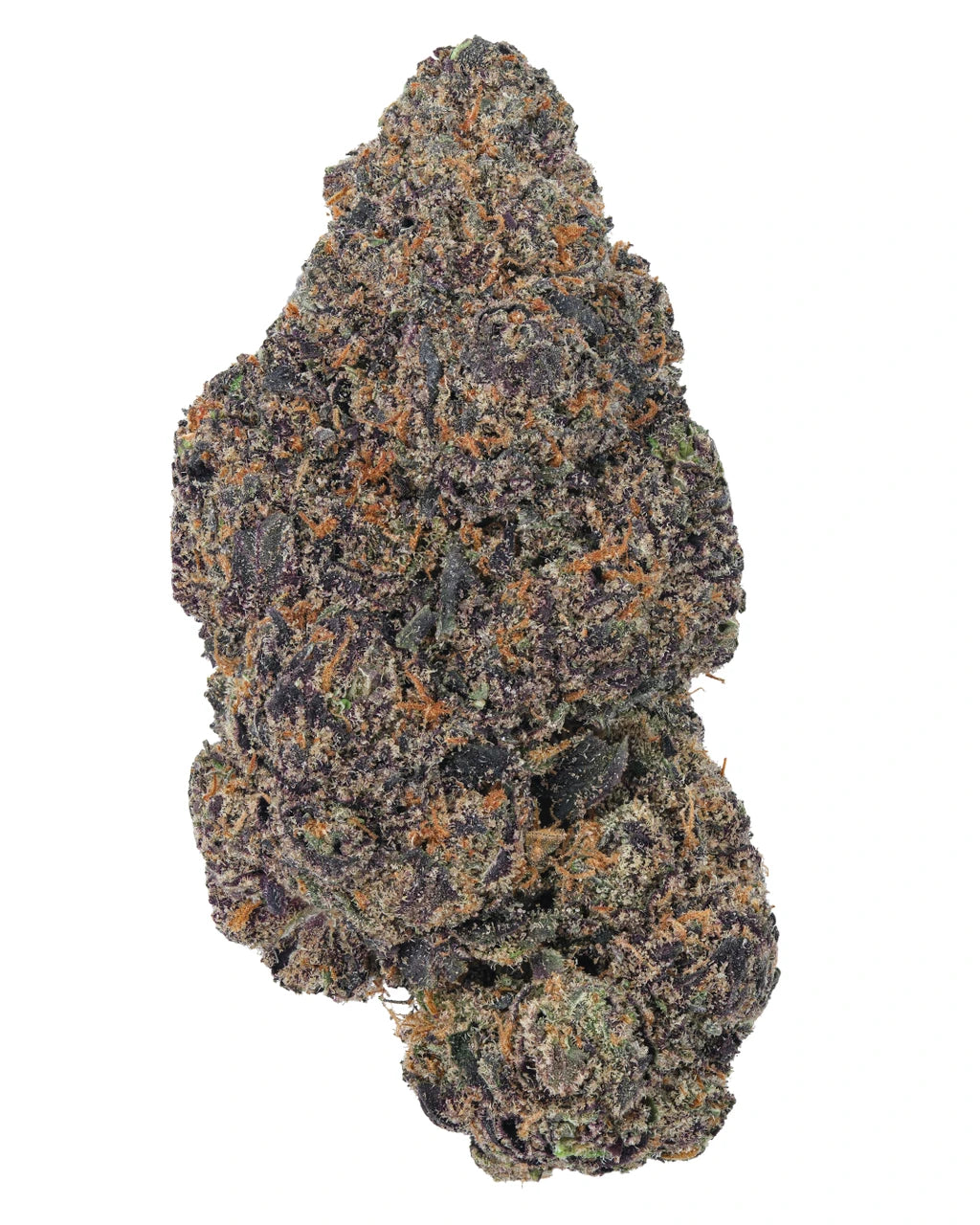 Night Walker Indica