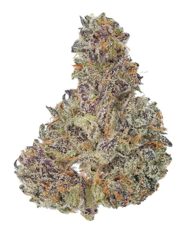 Premium Flower No Drama Llama Kush &quot;Llama Kush&quot; Hybrid Siesta G  Siesta G Dispensary