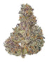 Premium Flower No Drama Llama Kush "Llama Kush" Hybrid Siesta G  Siesta G Dispensary