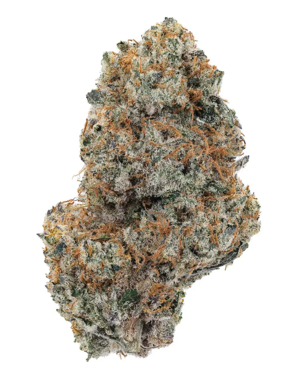 OG Kush Indoor Premium Cannabis Flower Siesta G Dispensary