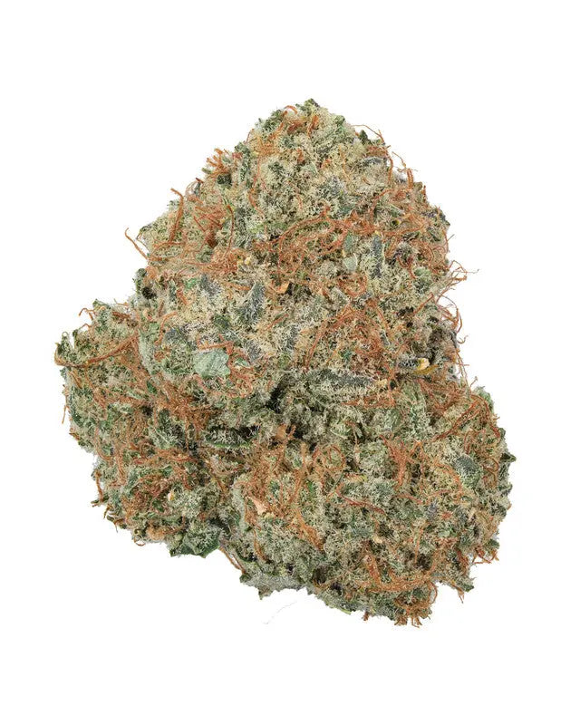 Premium Flower Orange Creamsicle Sativa Flow State Siesta G Dispensary