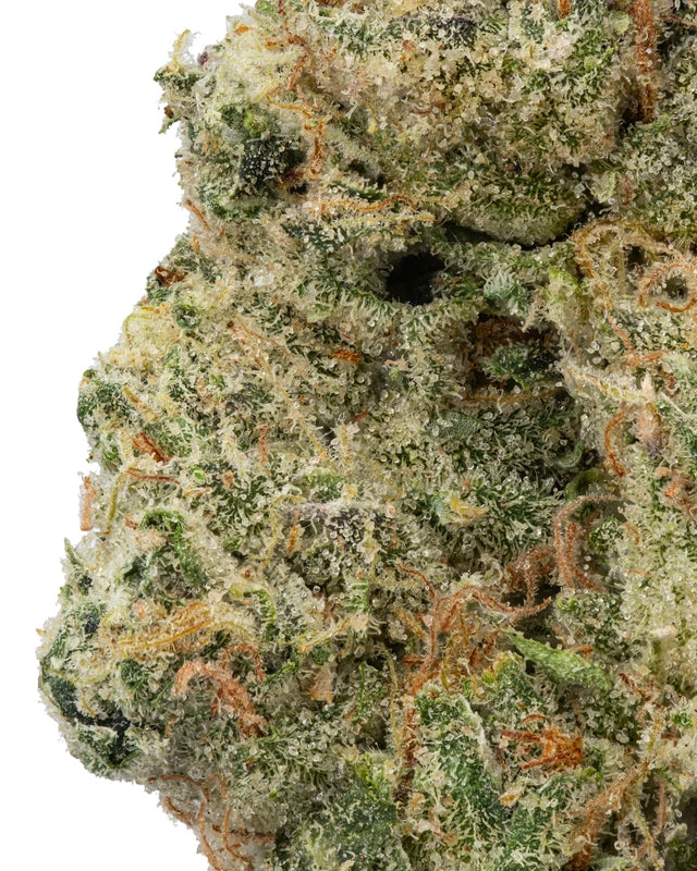 Orange Cookies Sativa
