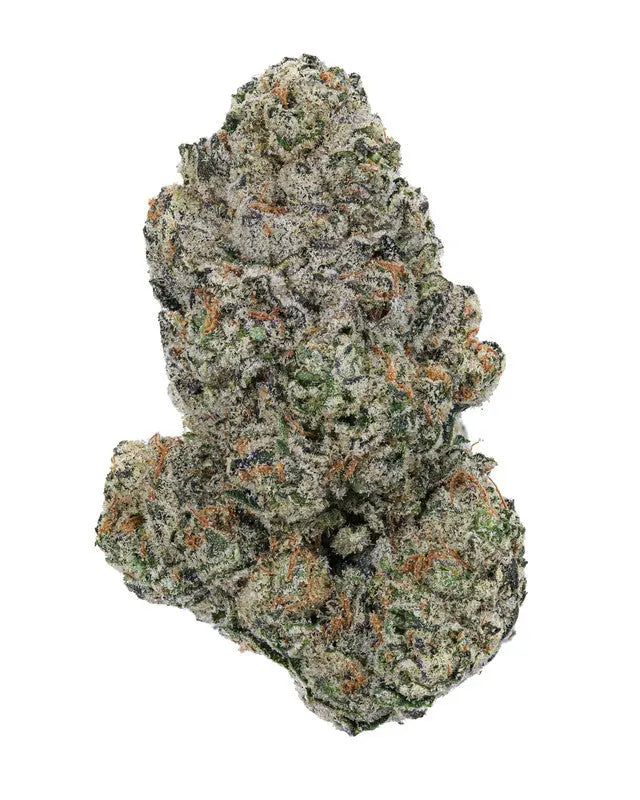 Premium Flower Oreoz Exotic Sativa QWIN Siesta-G