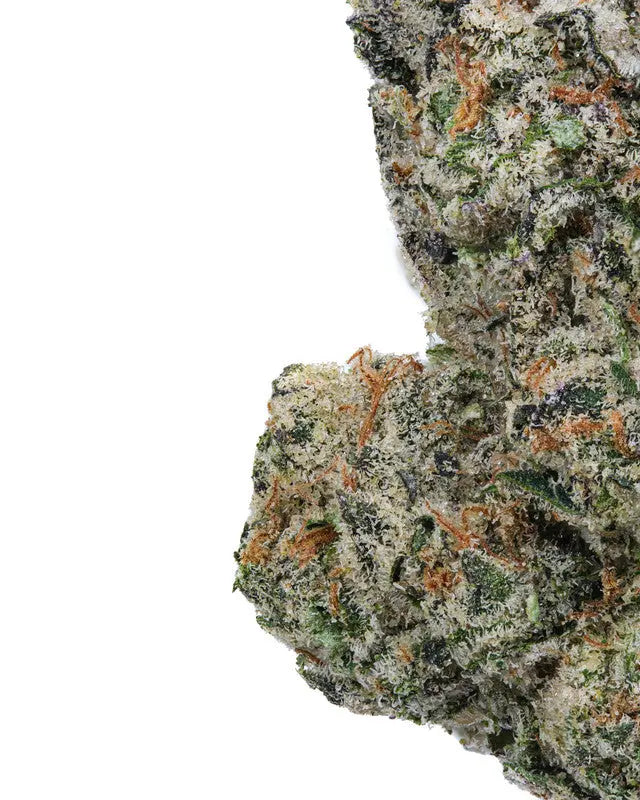 Premium Flower Oreoz Exotic Sativa QWIN Siesta-G