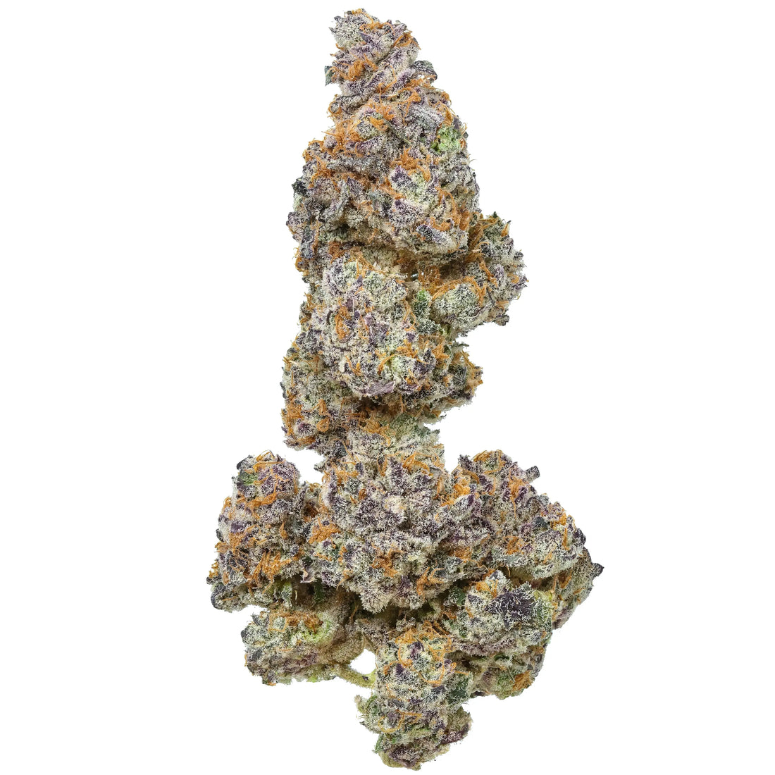 Premium Flower Permanent Chimera AKA &quot;Purple Chimera&quot; Indica Siesta G  Siesta G Dispensary