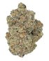 THC-A Flower Permanent Marker Exotic Indica QWIN Siesta G Dispensary
