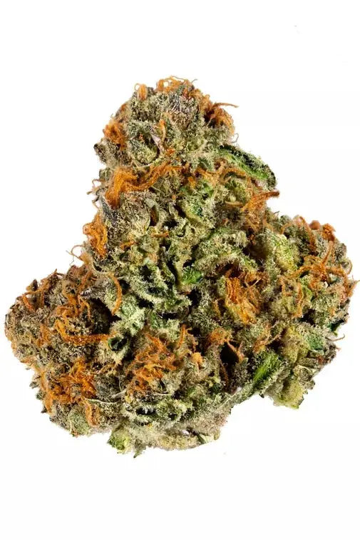 Premium Flower Pineapple Express Hybrid Siesta G  Siesta G Dispensary