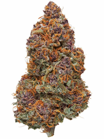 Pink Panther Indoor Premium Flower Siesta G