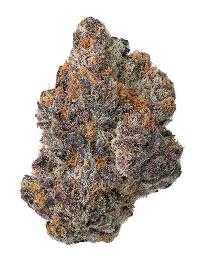 Pink Rose Hybrid - Indica