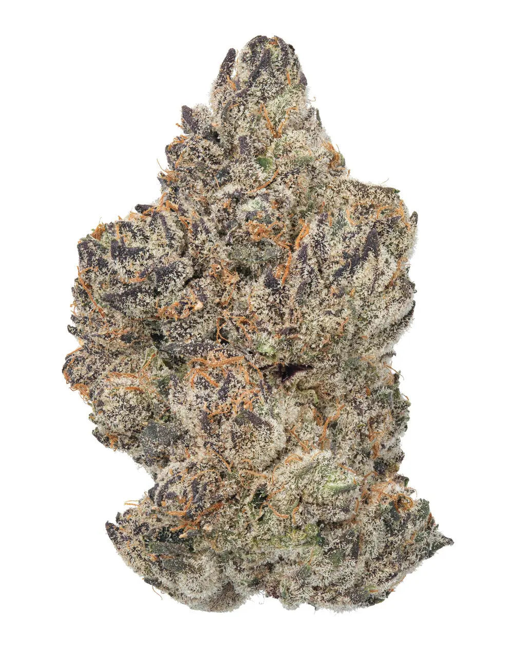 Premium Flower Purple Chimera indica Siesta G  Siesta G Dispensary