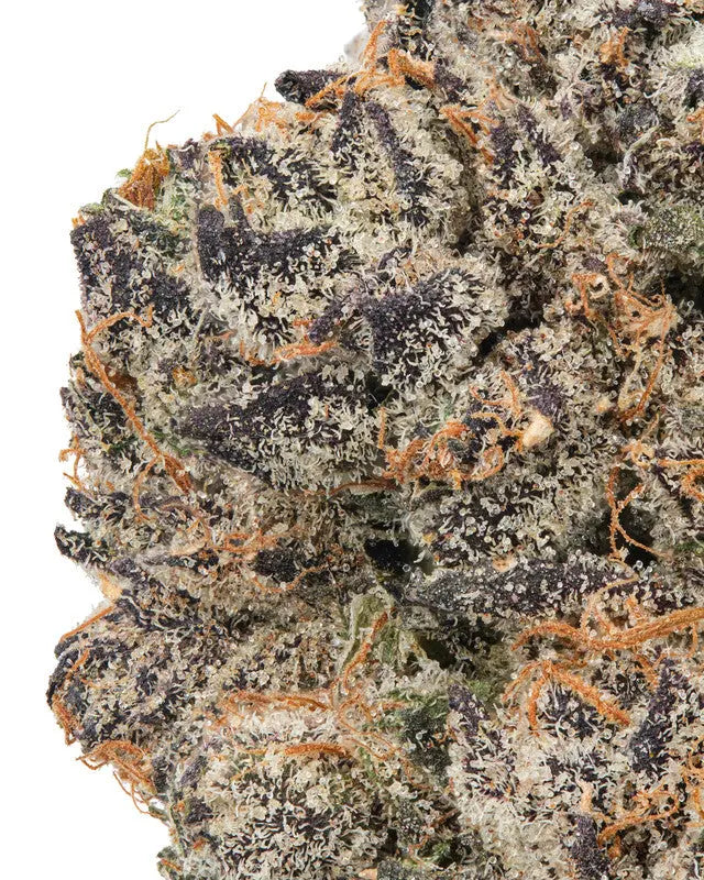 Premium Flower Purple Chimera indica Siesta G  Siesta G Dispensary