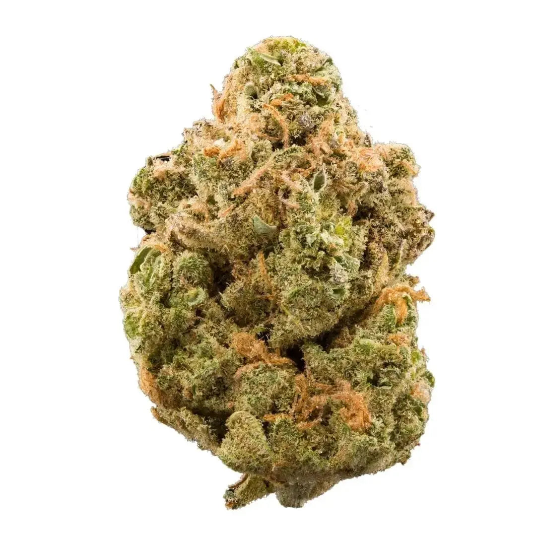 Premium Flower Purple Hindu Kush Hybrid Paradise Hemp CO Siesta G Dispensary