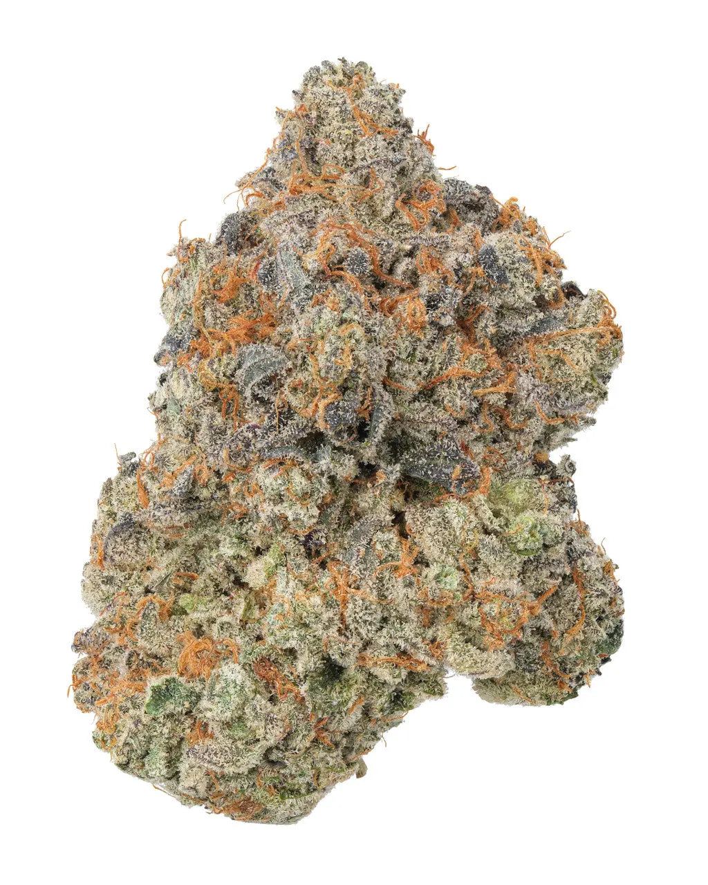 Premium Flower Purple Hindu Kush Indica Paradise Hemp CO Siesta G Dispensary