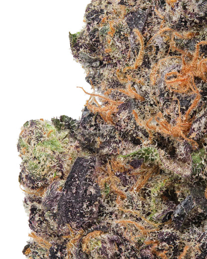 Premium Flower Purple Poison Indica Alternative Health Distributioin Siesta G Dispensary