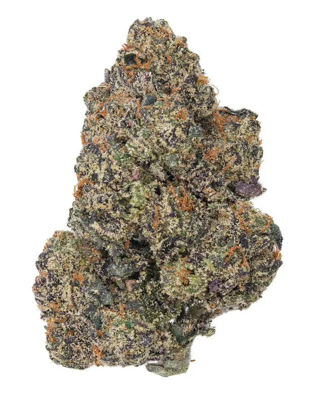 Premium Flower Purple Runtz Hybrid Siesta G  Siesta G Dispensary