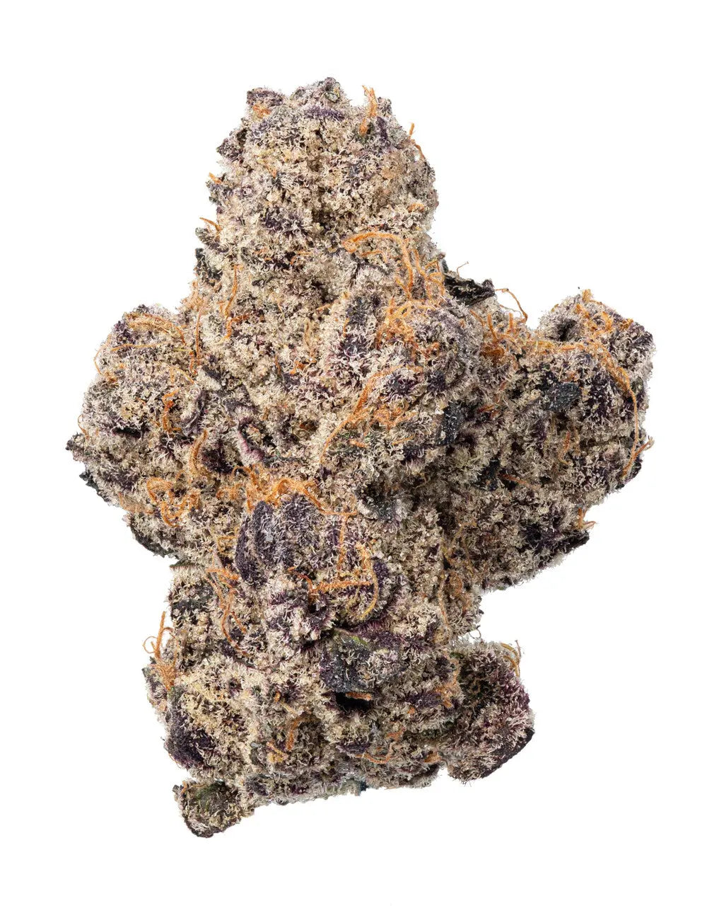 Premium Flower Purple Tesla Indica Siesta G  Siesta G Dispensary