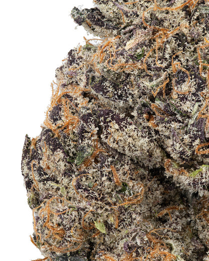 Purple Haze Hybrid- Sativa