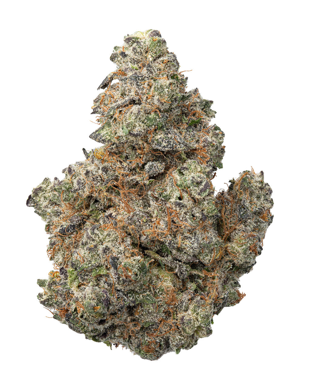 Purple Panty Dropper Indica-Hybrid