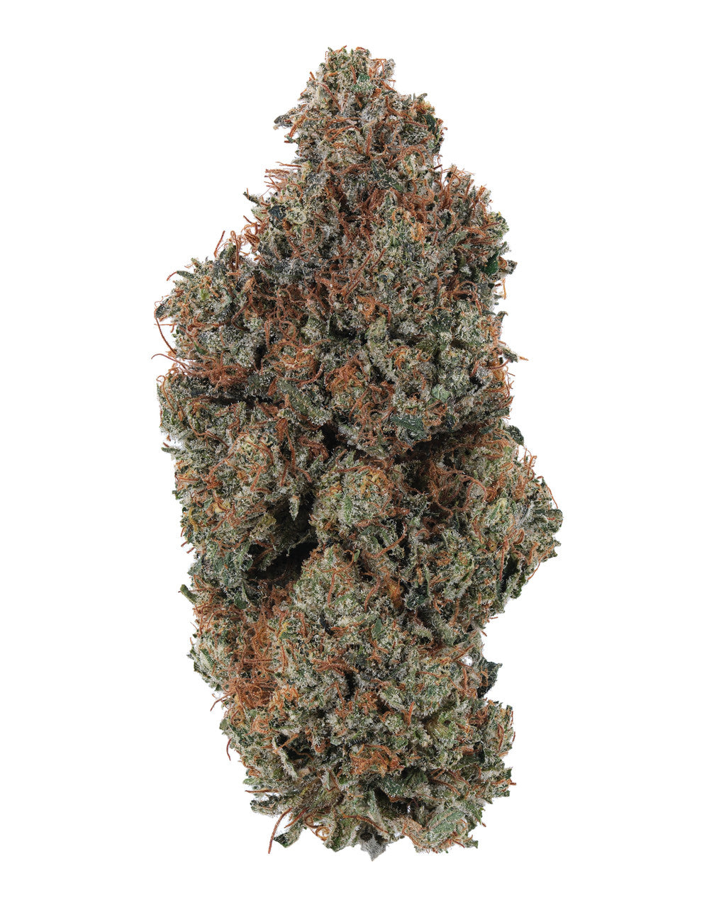 Premium Flower Rainbow Gas Indica Siesta G Siesta G