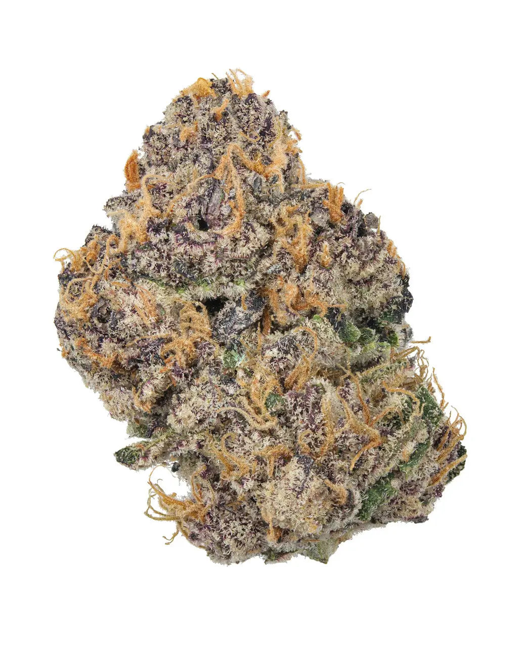 Premium Flower Razzle Berry Kush Indica Siesta G Siesta G Dispensary