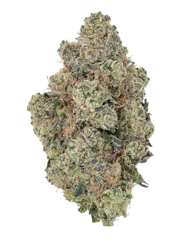 Premium Flower Reckless Rainbow Exotic - Indica Siesta G Dispensary Siesta-G 3.5-Grams