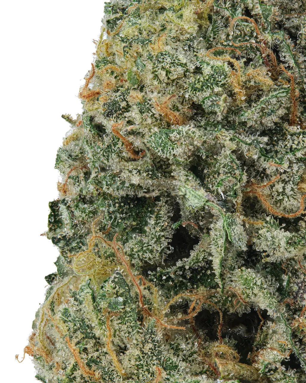 Premium Flower Roxanne - Hybrid KCMMM LLC Siesta G Dispensary