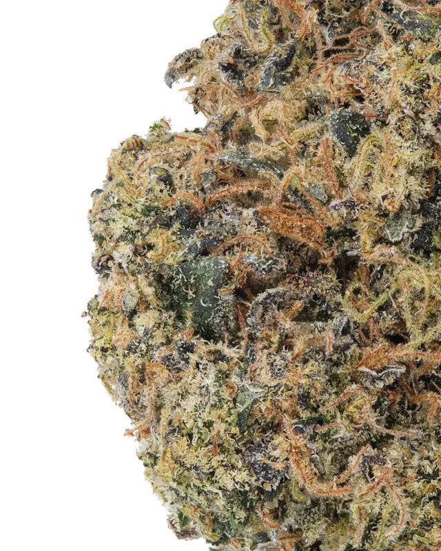 Sherb Crasher Strain Info / Sherb Crasher Weed By Seed Junky Genetics -  GrowDiaries