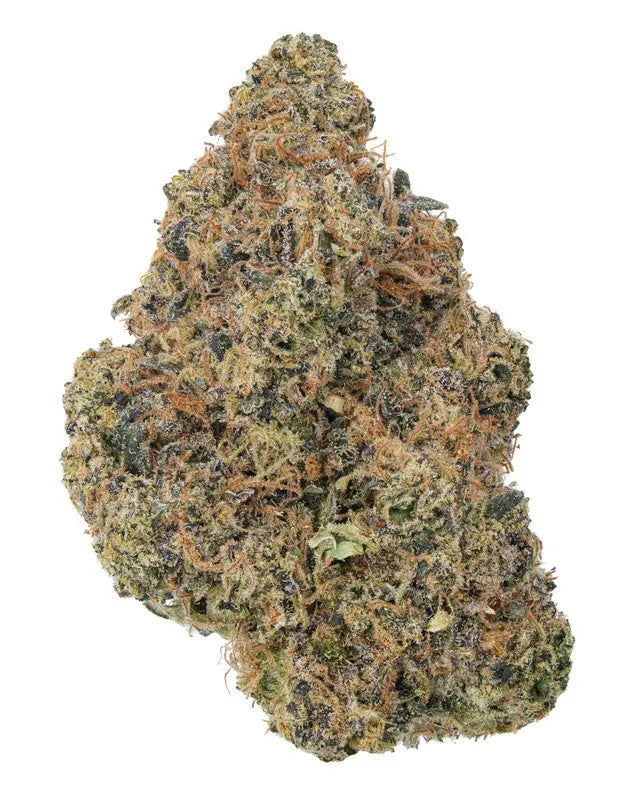 Sherb Cake &quot;Sherbet Cake&quot; Exotic Indica Budzburn Siesta G Dispensary