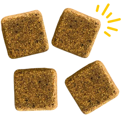 Siesta G - Dog Treats - 20ct - 15 mg per pc- 300mg total per bag (Large Breed) Alternative Health Distributioin Siesta G Dispensary