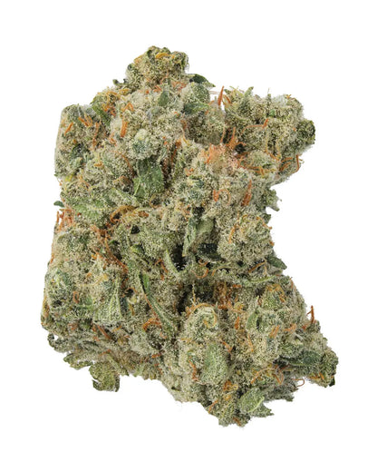 Premium Flower Sour Diesel Hybrid Paradise Hemp CO Siesta G Dispensary