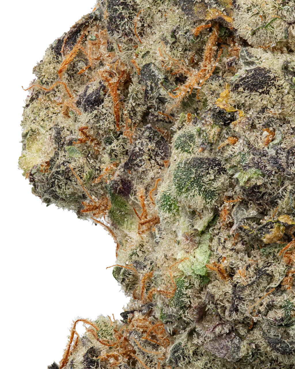 Premium Flower Space Burger Indica-Hybrid Siesta G Dispensary Siesta G