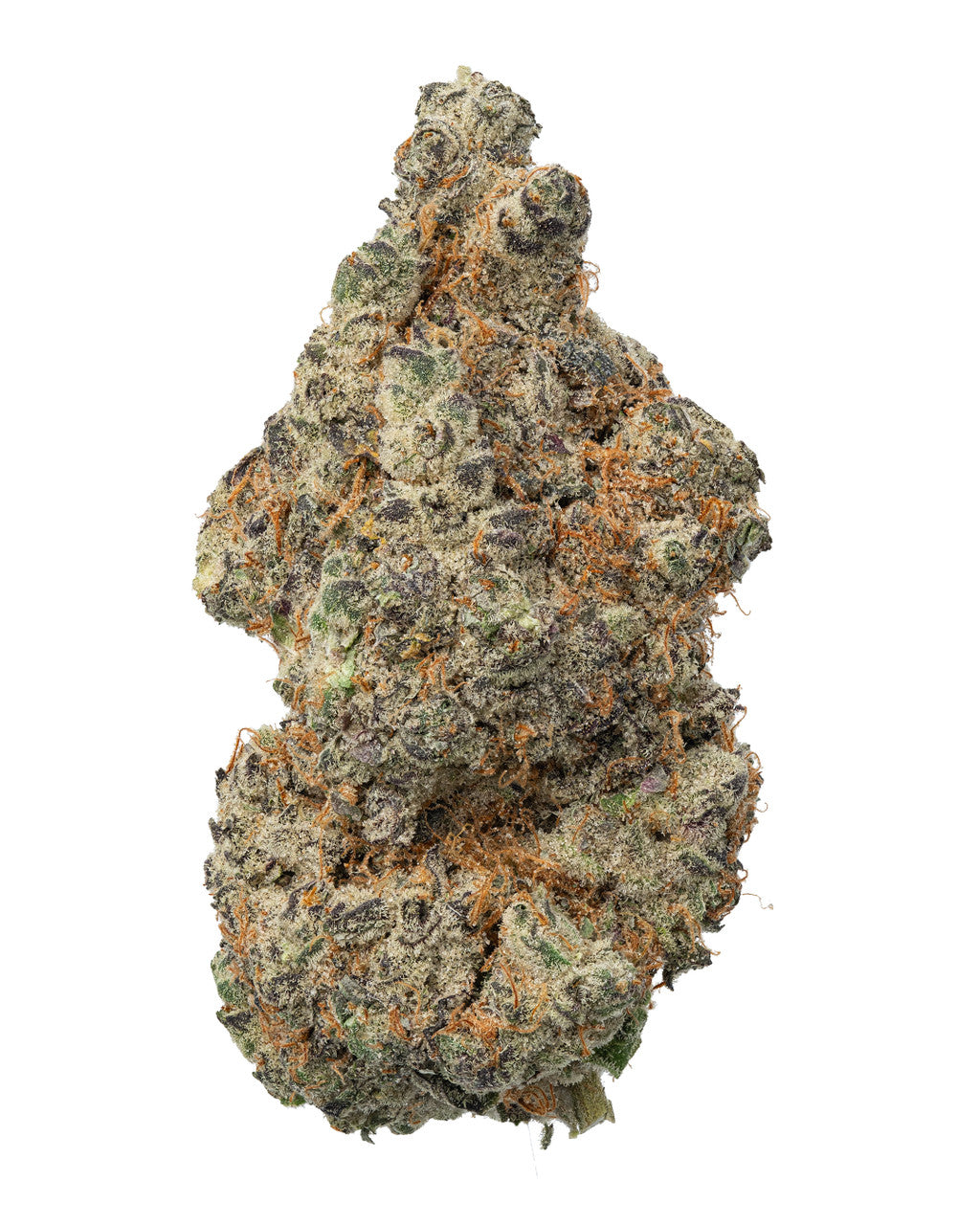 Premium Flower Space Burger Indica-Hybrid Siesta G Dispensary Siesta G