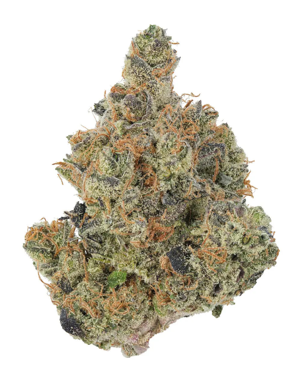 Premium Flower Stardawg Hybrid Alternative Health Distributioin Siesta G Dispensary