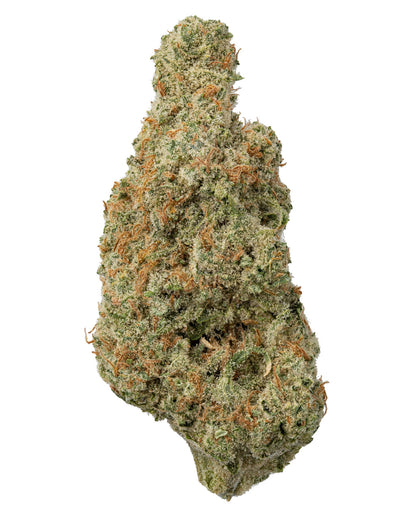 Stardust Indica