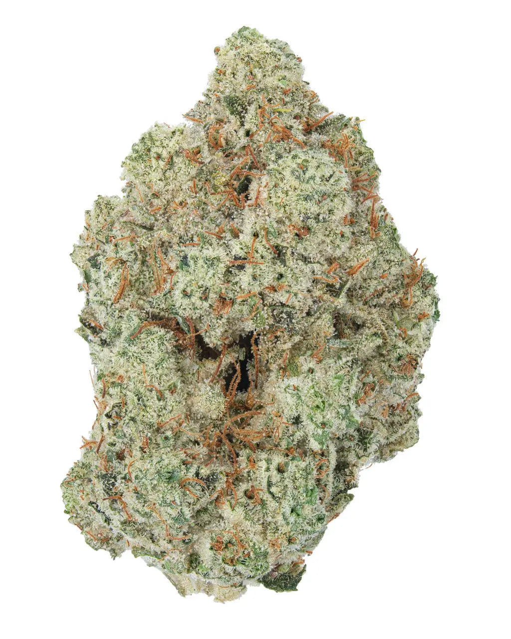 Premium Flower Strawberry Cough Sativa Siesta G Siesta G Dispensary