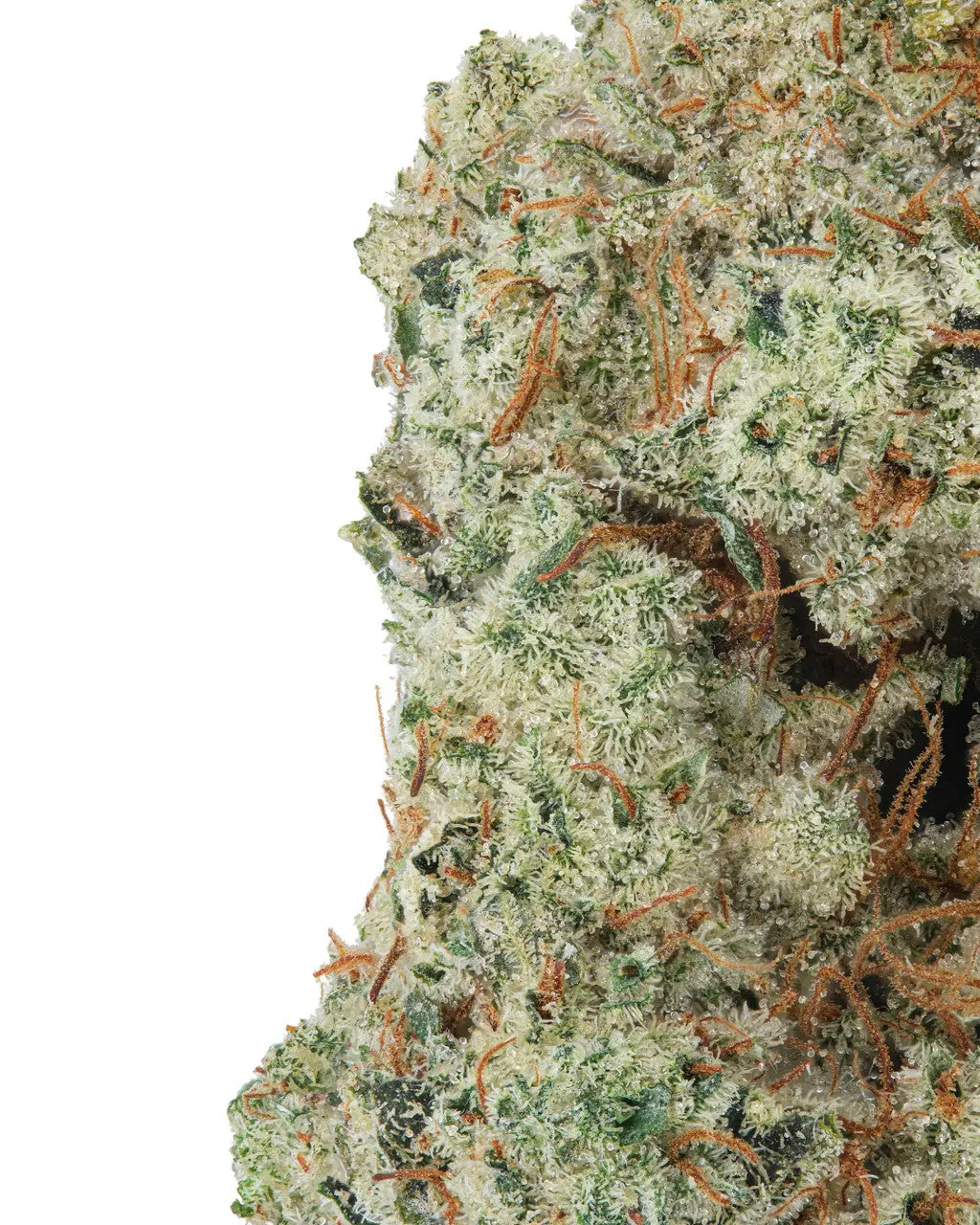 Premium Flower Strawberry Cough Sativa Siesta G Siesta G Dispensary