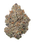Premium Flower Strawberry Kiwi Sativa Budzburn Siesta G