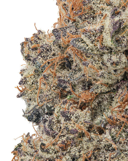 Premium Flower Strawberry Kiwi Sativa Budzburn Siesta G