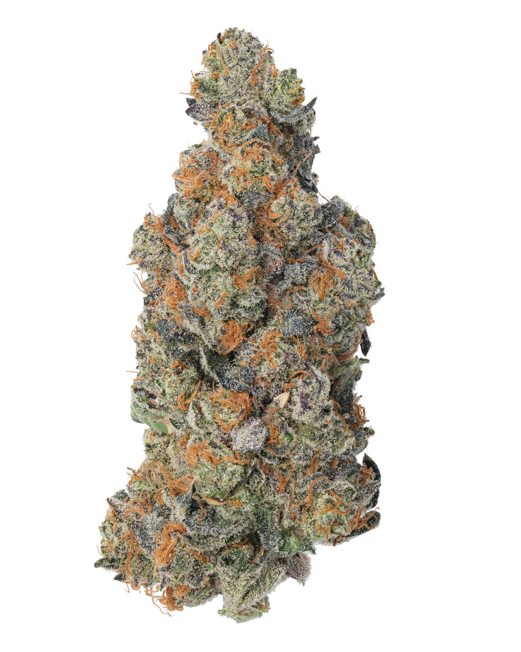 Strawpicana Hybrid