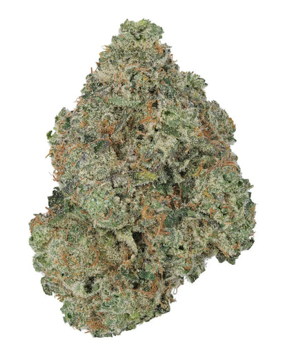 Premium Flower Super Silver Haze Siesta G  Siesta G Dispensary