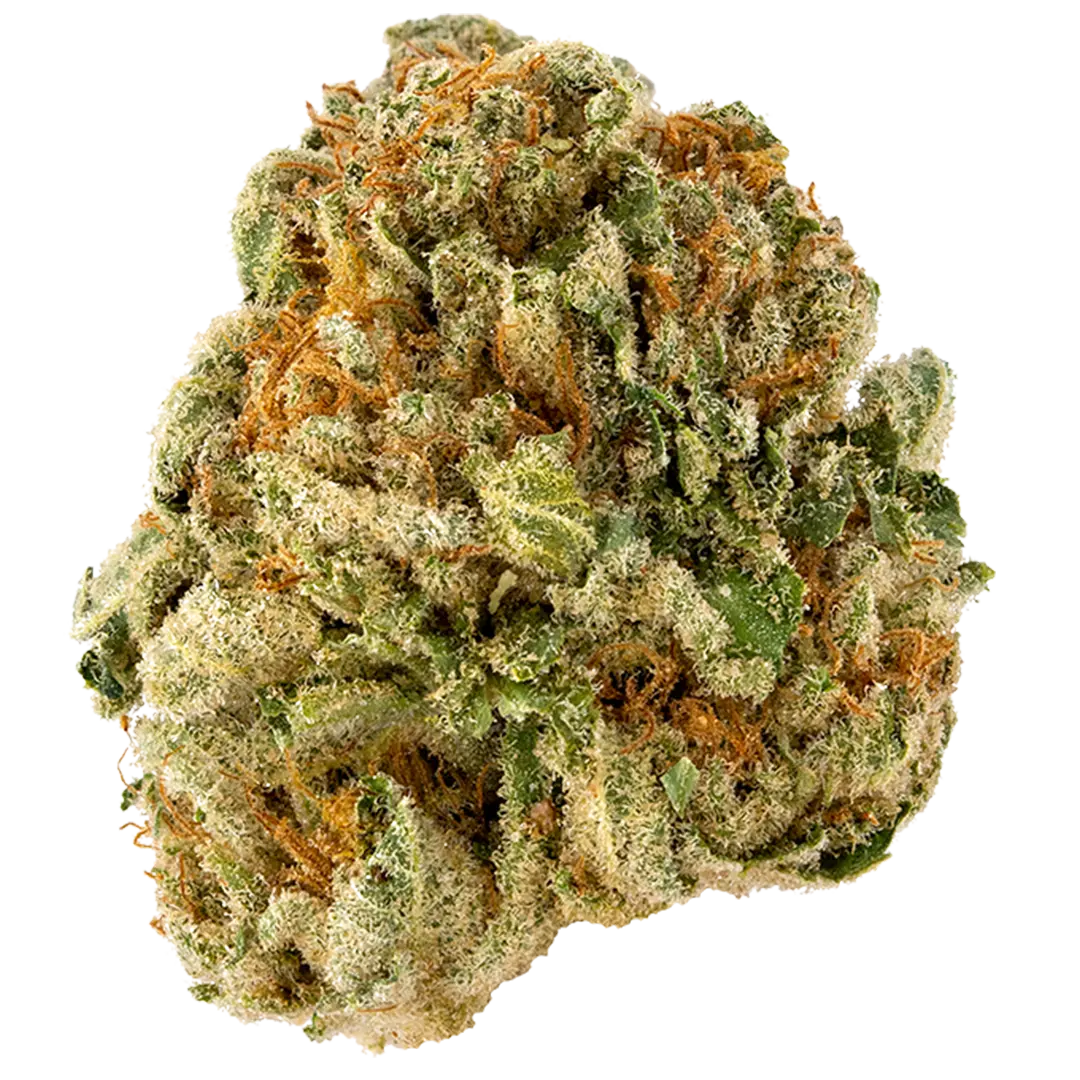 Premium Flower Super Sour Diesel Sativa Flow State Siesta G Dispensary