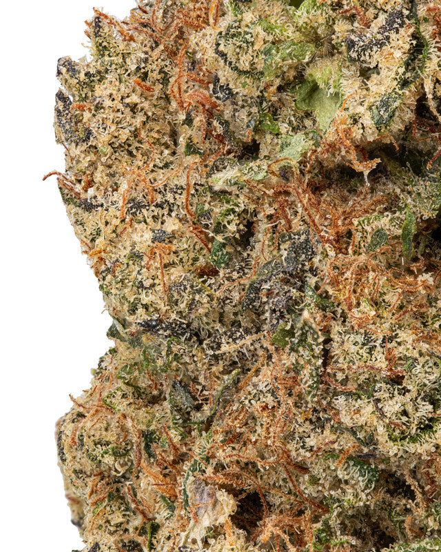Super Glue Hybrid-Indica
