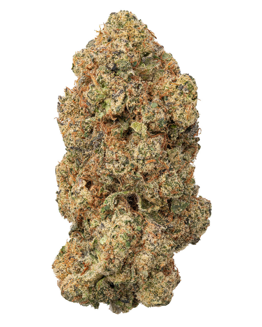 Super Glue Hybrid-Indica