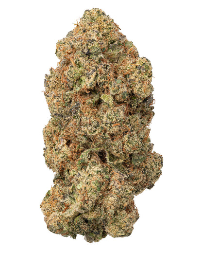 Super Glue Hybrid-Indica