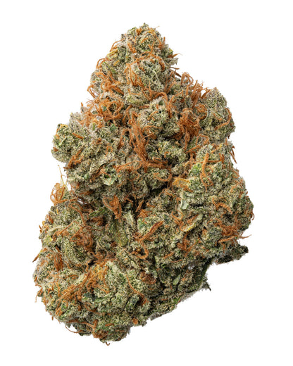 Super Jack Sativa